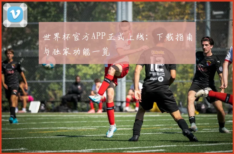 世界杯官方APP正式上线:下载指南与独家功能一览